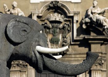 Elefante Piazza Duomo Catania Liotru