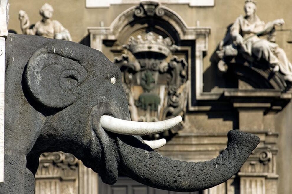 Elefante Piazza Duomo Catania Liotru