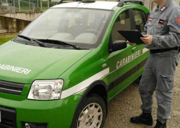 concorso carabinieri tenenti forestali