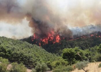 rischio-incendi-sicilia