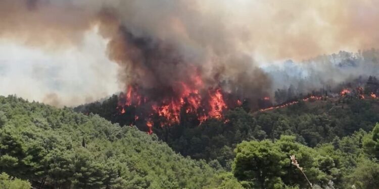 rischio incendi sicilia