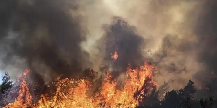 incendi sicilia rimborso turisti