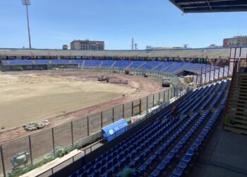 lavori stadio massimino