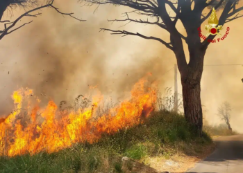 incendio sicilia