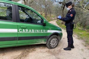 Carabinieri forestale