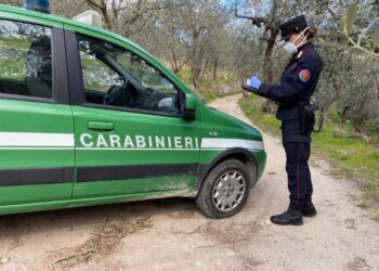 Carabinieri forestale