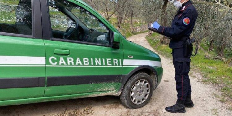 carabinieri forestale