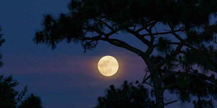 superluna del cervo