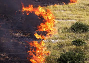 incendi-sicilia