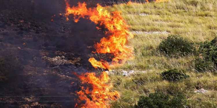 incendi sicilia