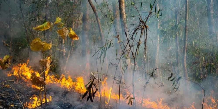 rischio incendi