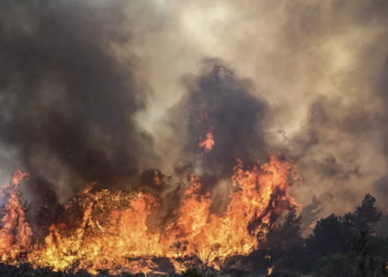 incendi sicilia