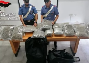 carabinieri-droga-marijuana-arresti