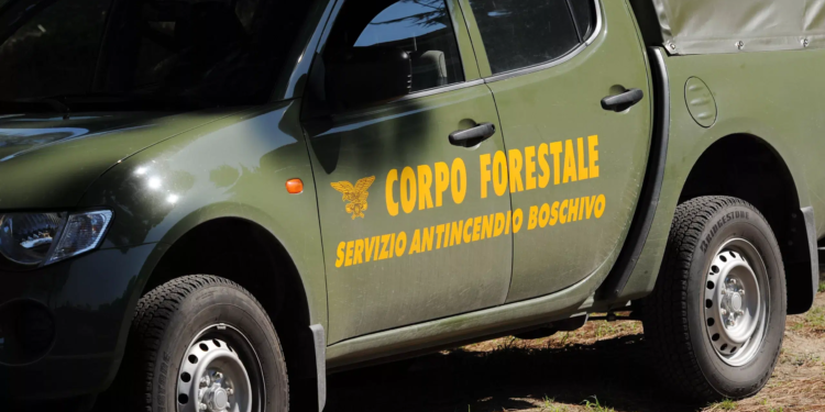 incidente forestale operaia morta