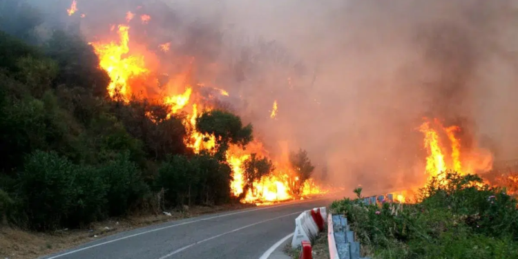 incendio patti messina