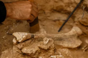 unict Iraq archeologi catanesi