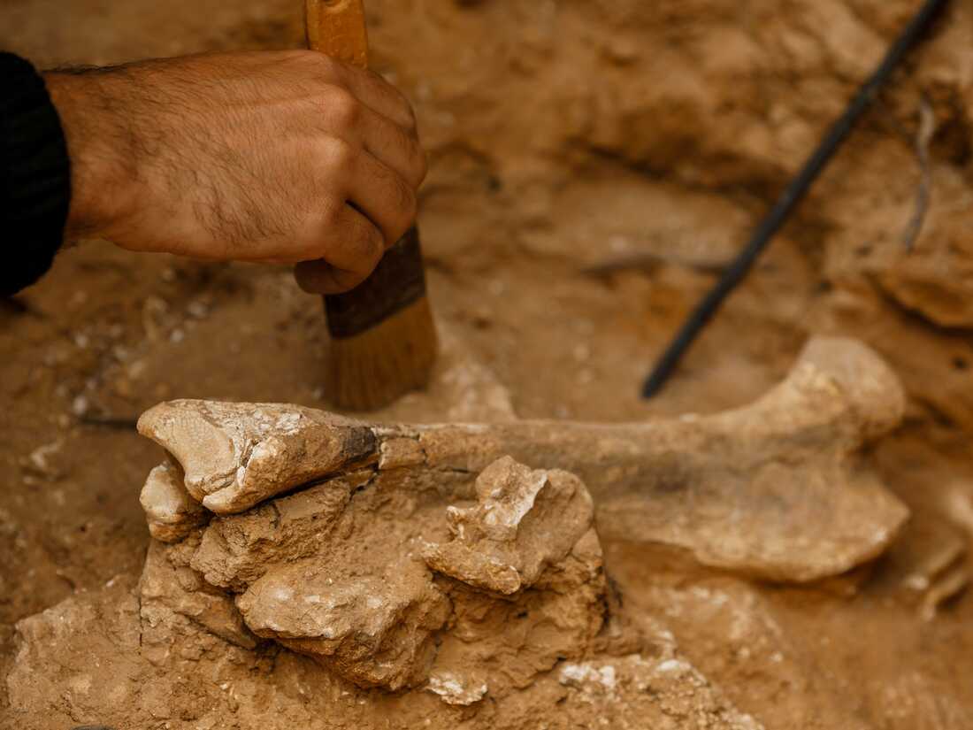 unict Iraq archeologi catanesi