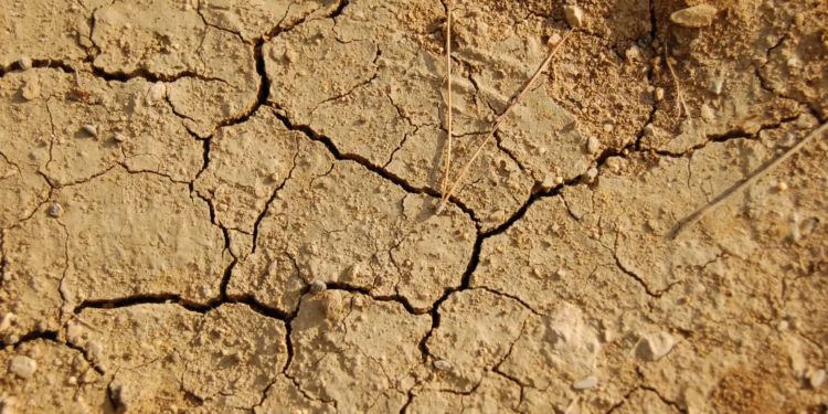 allarme siccità catania