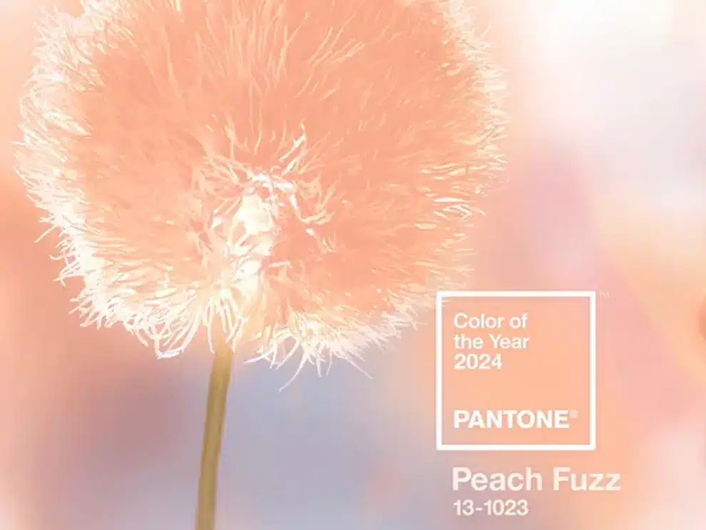 pantone-2024-peach-fuzz