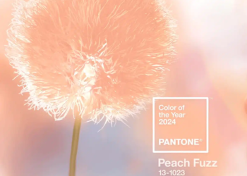 pantone-2024-peach-fuzz