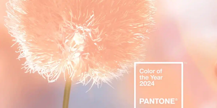 pantone 2024 peach fuzz