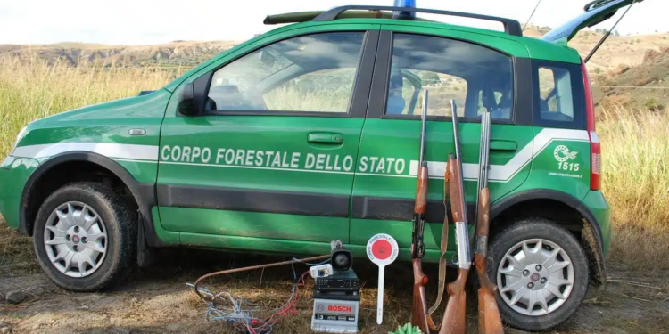 corpo forestale 3