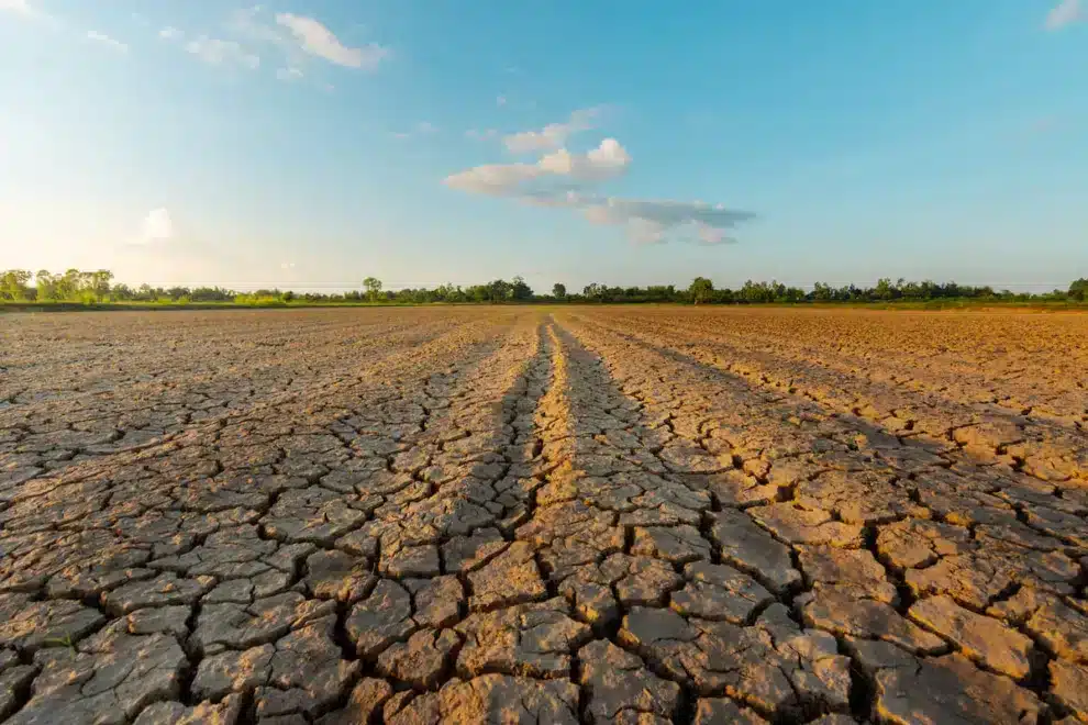 allarme siccità sicilia calamità naturale