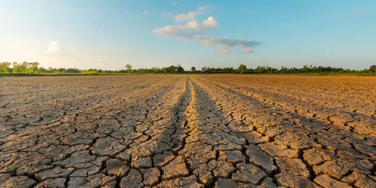 allarme siccità sicilia calamità naturale