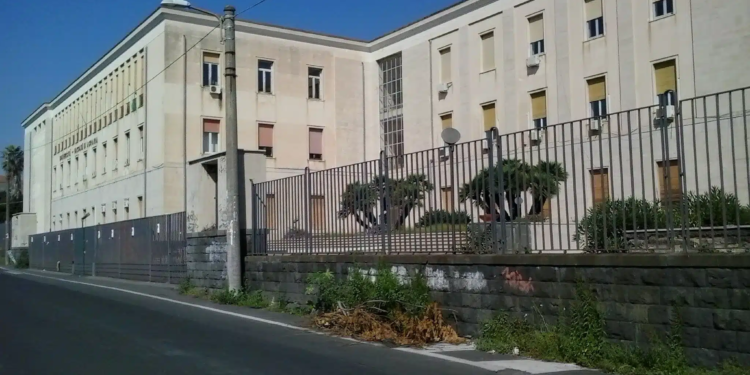 dipartimento agricoltura università degli studi di catania sede valdisavoia