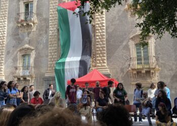 acampada palestina disum unict rettore