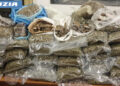 falchi catania arrestato 34enne droga