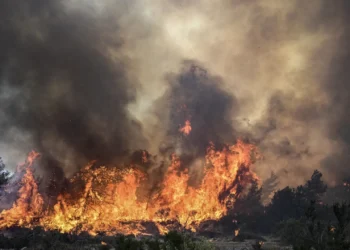 incendi sicilia