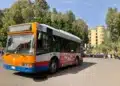 autobus cimitero catania