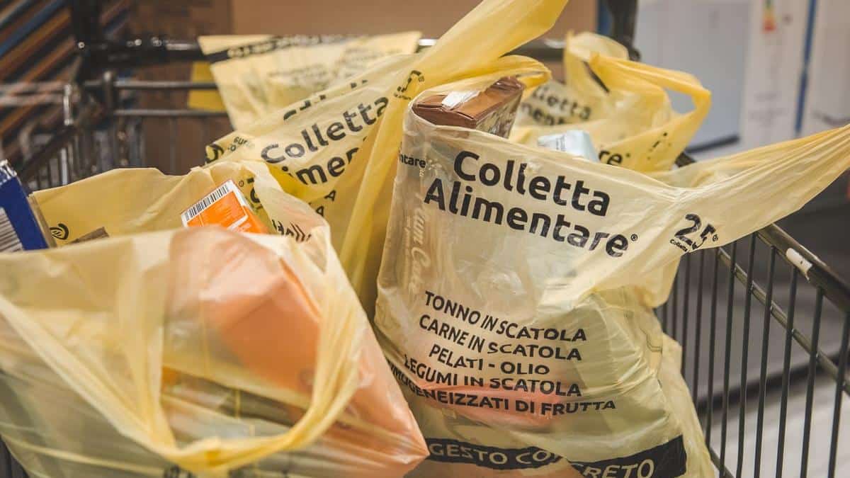 Sicilia, Giornata della colletta alimentare: raccolte 480 tonnellate di cibo