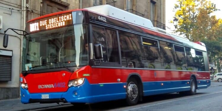 amts ctaania