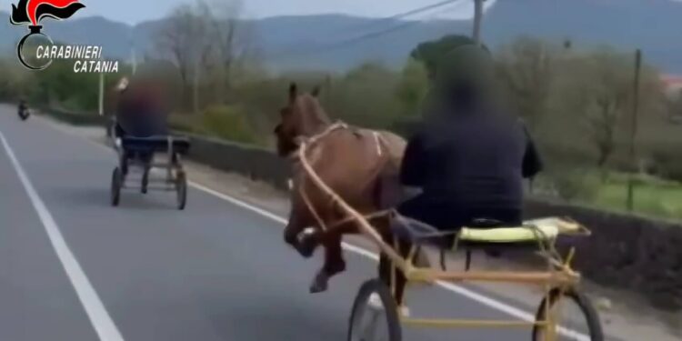 corsa di cavalli castiglione1