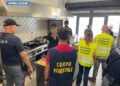 corpo forestale