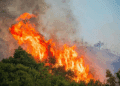 incendi
