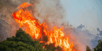 incendi