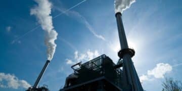 inquinamento termovalorizzatore inceneritore