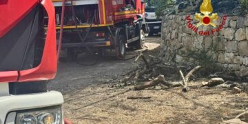 incendio bronte