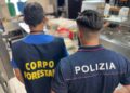 controlli ristoranti capo mulini acireale