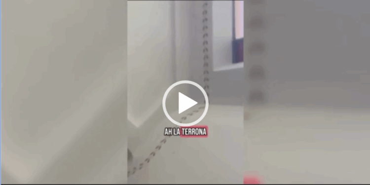 video terrona venezia