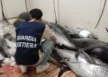guardia costiera