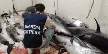 guardia costiera