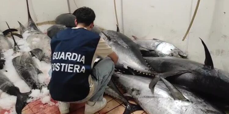 guardia costiera