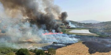 incendi sicilia