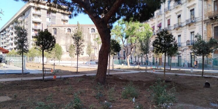 foto Mobilità Catania