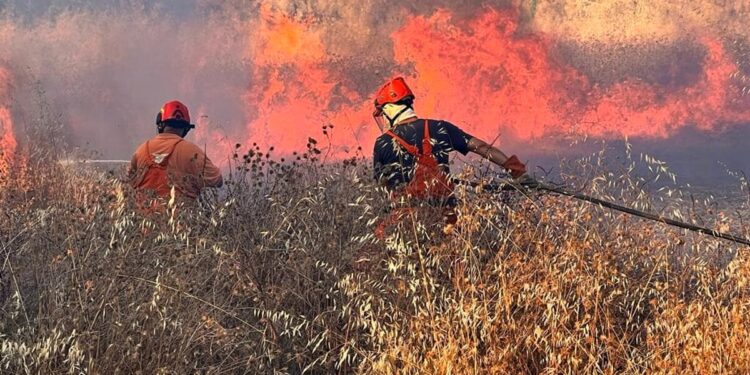 vigili del fuoco