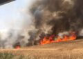 incendi sicilia